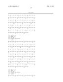 p16 MEDIATED REGULATION OF NMDA RECEPTORS diagram and image