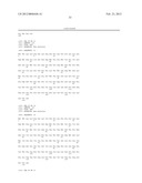 p16 MEDIATED REGULATION OF NMDA RECEPTORS diagram and image