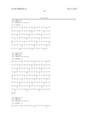 p16 MEDIATED REGULATION OF NMDA RECEPTORS diagram and image