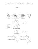 PROTEIN CHARGE REGULATOR AND PROTEIN-ENCAPSULATING POLYMER MICELLE COMPLEX diagram and image