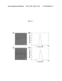 PROTEIN CHARGE REGULATOR AND PROTEIN-ENCAPSULATING POLYMER MICELLE COMPLEX diagram and image