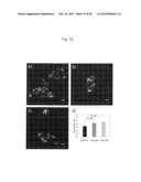 PROTEIN CHARGE REGULATOR AND PROTEIN-ENCAPSULATING POLYMER MICELLE COMPLEX diagram and image