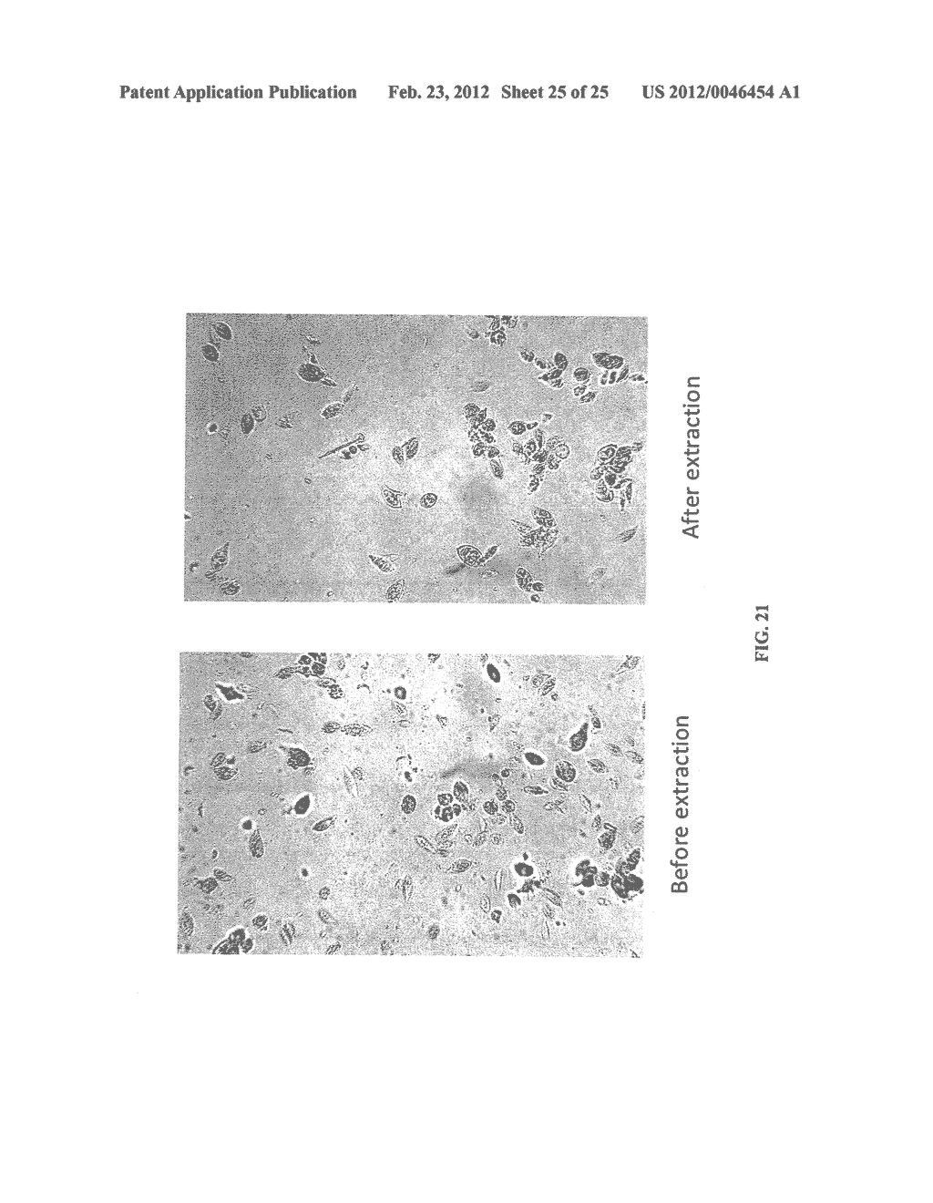 Methods of Selective Removal of Products from an Algal Biomass - diagram, schematic, and image 26