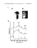 BODY TISSUE IMAGING USING RAMAN SCATTERING LIGHT diagram and image