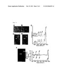 BODY TISSUE IMAGING USING RAMAN SCATTERING LIGHT diagram and image