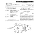 SKIN TREATMENT DEVICES AND METHODS WITH PRE-STRESSED CONFIGURATIONS diagram and image