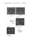 Laser activated nanothermolysis of cells diagram and image