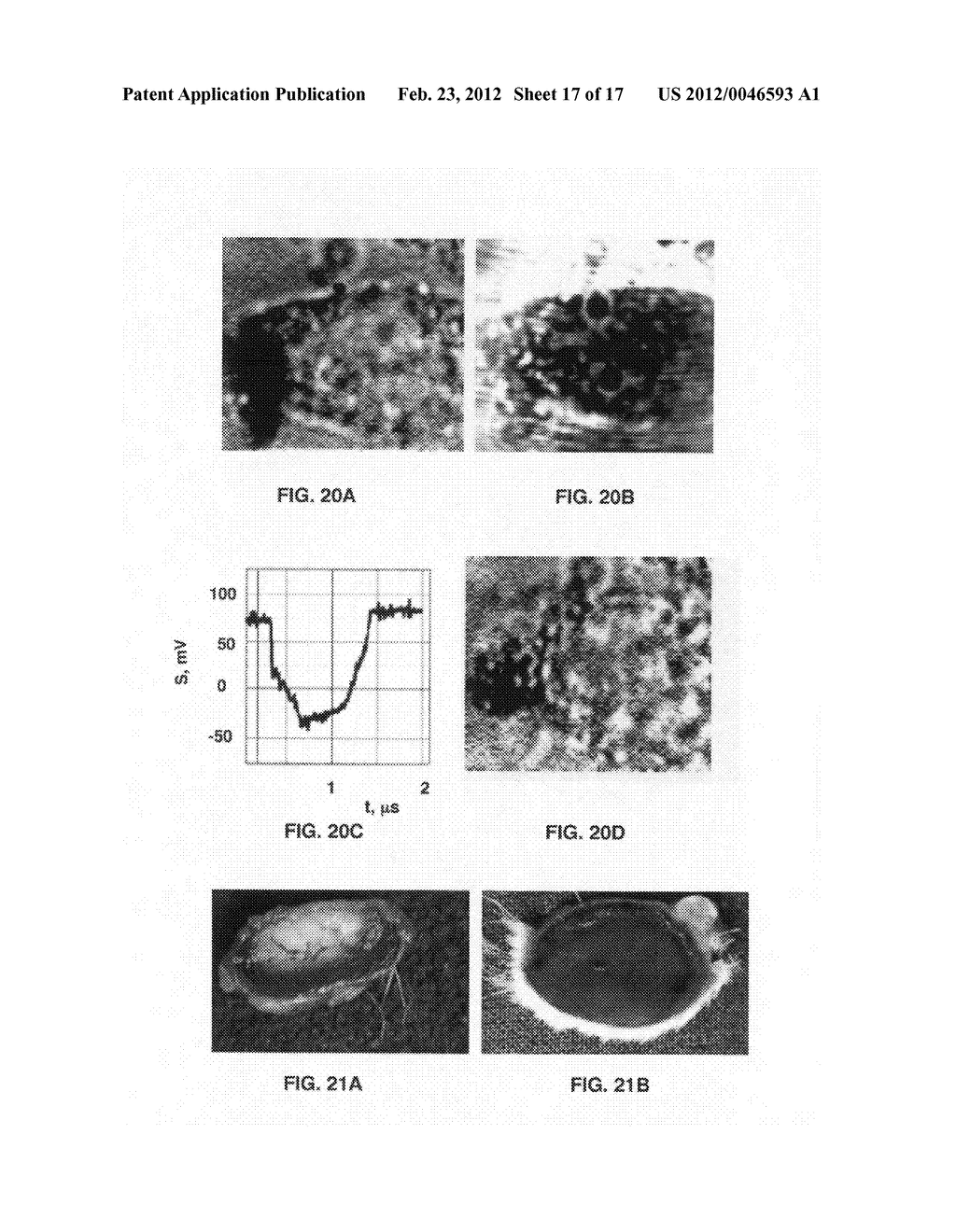 Laser activated nanothermolysis of cells - diagram, schematic, and image 18