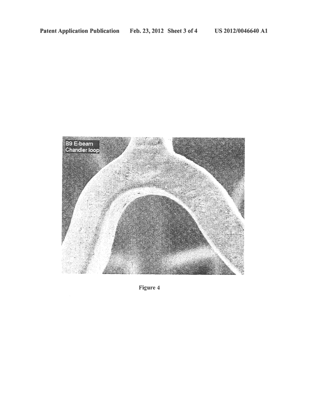 Coating Comprising An Elastin-Based Copolymer - diagram, schematic, and image 04