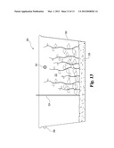 SYSTEM AND METHOD FOR AQUACULTURE OF MARINE LIFE FORMS diagram and image