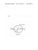 SIMULTANEOUS ORTHOGONAL LIGHT SHEET MICROSCOPY AND COMPUTED OPTICAL     TOMOGRAPHY diagram and image