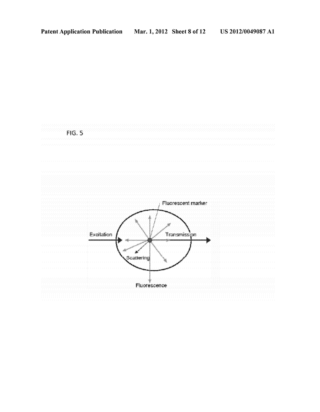 SIMULTANEOUS ORTHOGONAL LIGHT SHEET MICROSCOPY AND COMPUTED OPTICAL     TOMOGRAPHY - diagram, schematic, and image 09