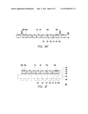 SEMICONDUCTOR STRUCTURE HAVING CONDUCTIVE VIAS AND METHOD FOR     MANUFACTURING THE SAME diagram and image