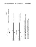 SYSTEM AND METHOD OF RENDERING INTERIOR SURFACES OF 3D VOLUMES TO BE     VIEWED FROM AN EXTERNAL VIEWPOINT diagram and image