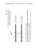 SYSTEM AND METHOD OF RENDERING INTERIOR SURFACES OF 3D VOLUMES TO BE     VIEWED FROM AN EXTERNAL VIEWPOINT diagram and image