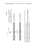 SYSTEM AND METHOD OF RENDERING INTERIOR SURFACES OF 3D VOLUMES TO BE     VIEWED FROM AN EXTERNAL VIEWPOINT diagram and image