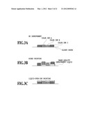 INKJET PRINTING APPARATUS AND INKJET PRINTING METHOD diagram and image