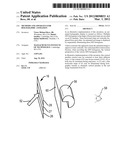 Methods and Apparatus for Holographic Animation diagram and image