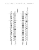 System and Method for Assigning Backhaul Resources diagram and image