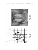 SYSTEMS AND METHODS FOR REVERSIBLE, INCREMENTAL IMAGE SHREDDING diagram and image