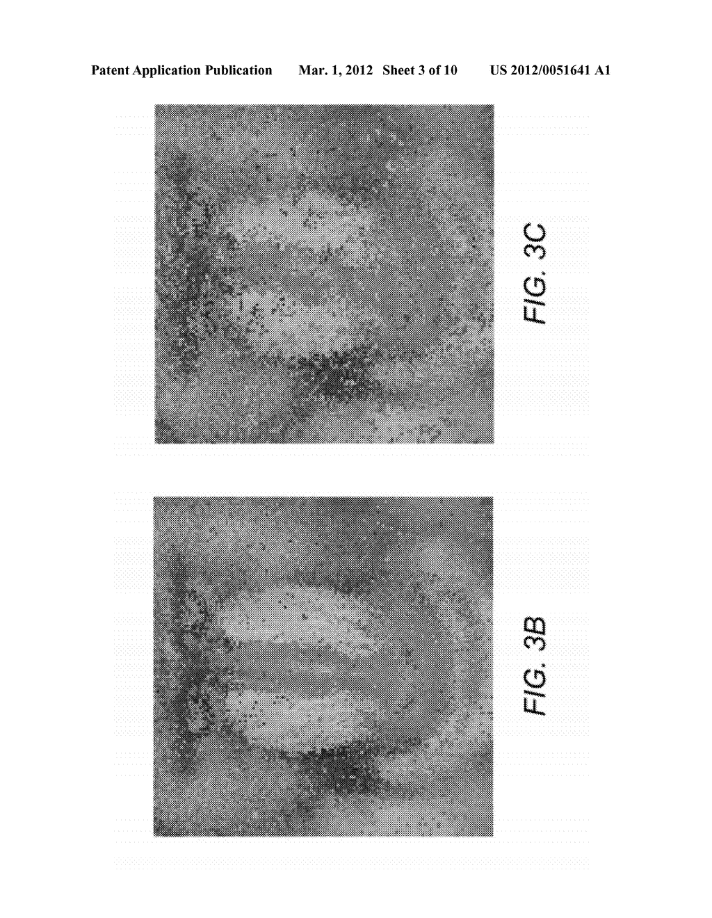 SYSTEMS AND METHODS FOR REVERSIBLE, INCREMENTAL IMAGE SHREDDING - diagram, schematic, and image 04