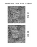 SYSTEMS AND METHODS FOR REVERSIBLE, INCREMENTAL IMAGE SHREDDING diagram and image