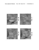 SYSTEMS AND METHODS FOR REVERSIBLE, INCREMENTAL IMAGE SHREDDING diagram and image