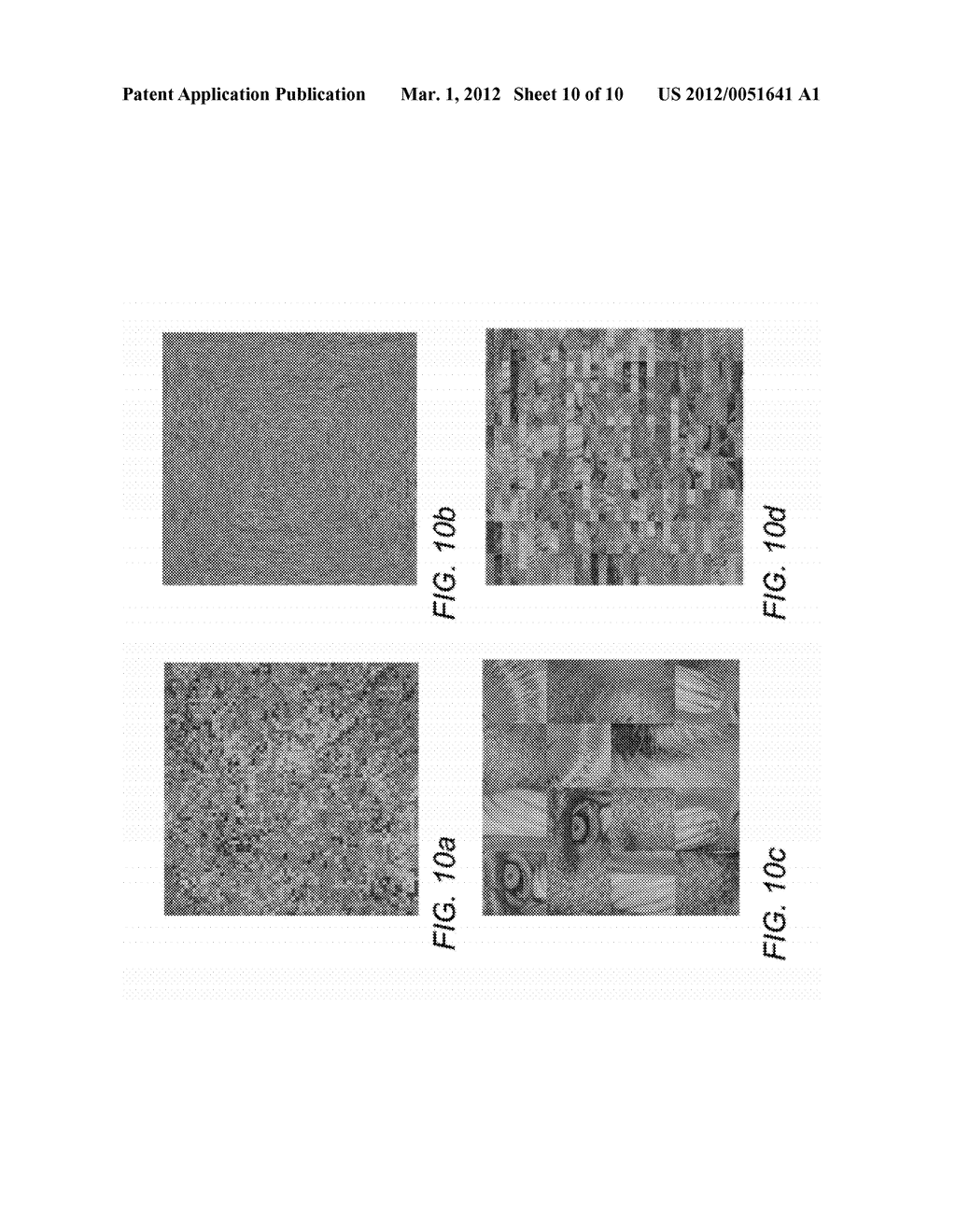 SYSTEMS AND METHODS FOR REVERSIBLE, INCREMENTAL IMAGE SHREDDING - diagram, schematic, and image 11