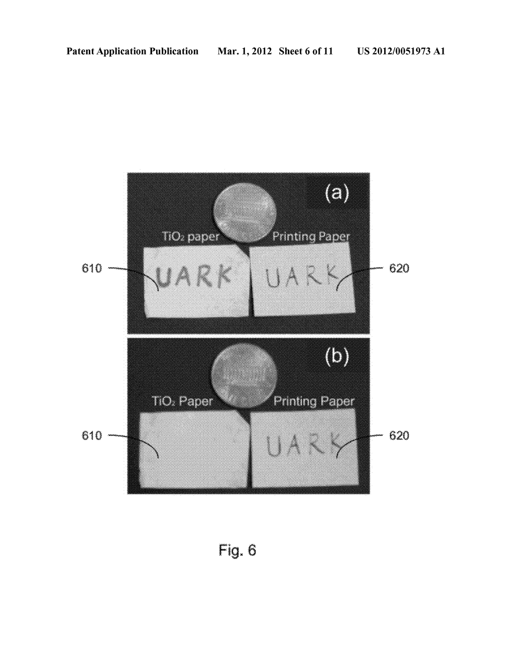 TiO2 NANOSTRUCTURES, MEMBRANES AND FILMS, AND APPLICATIONS OF SAME - diagram, schematic, and image 07