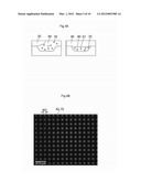 METHOD FOR MANUFACTURING LIQUID DROPLET MICROARRAYS, MICROARRAYS PREPARED     BY USING THE SAME, A DEVICE FOR DELIVERING MATERIALS AND A METHOD FOR     DELIVERING MATERIALS BY USING A DEVICE FOR DELIVERING MATERIALS     COMPRISING THE SAME diagram and image