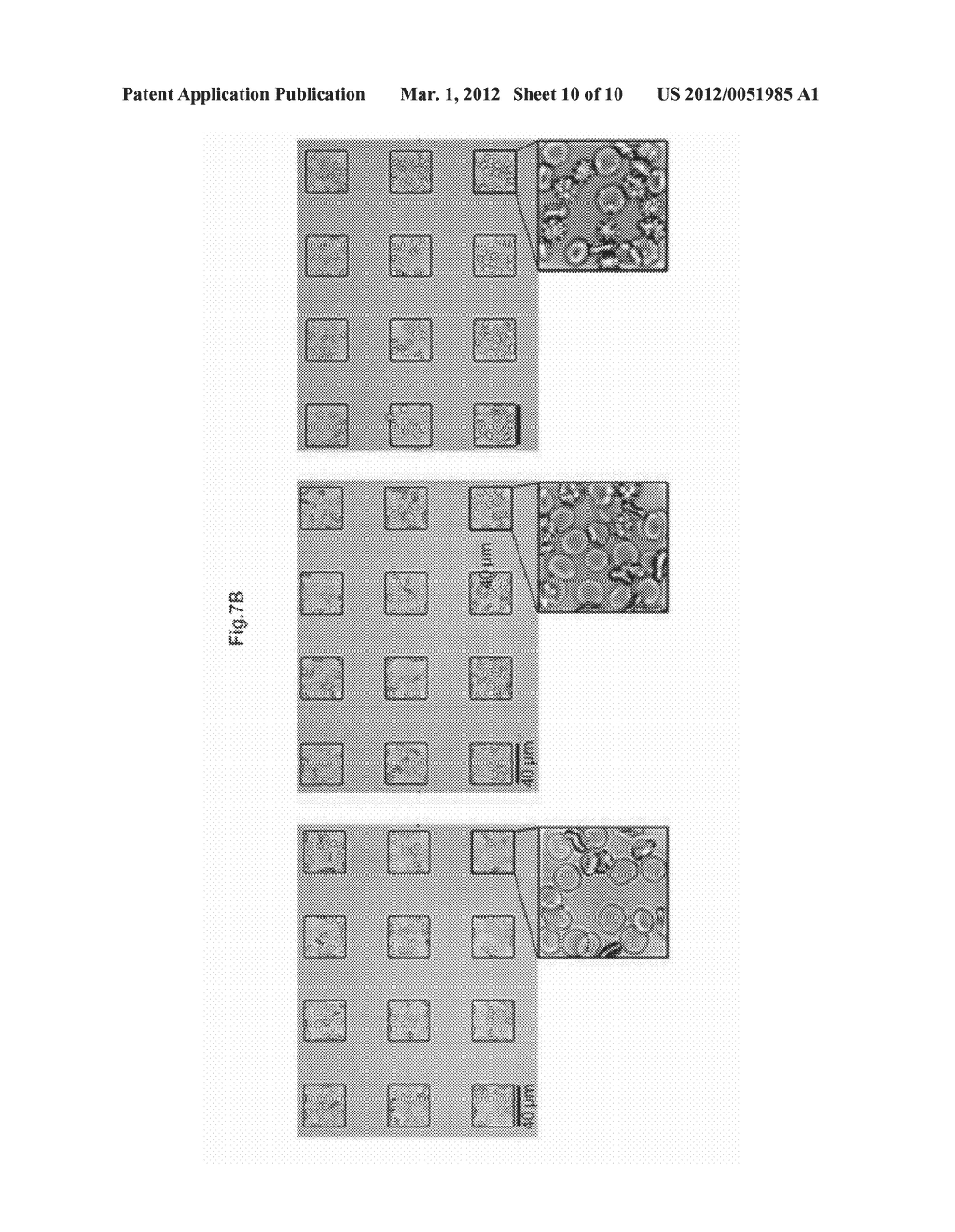 METHOD FOR MANUFACTURING LIQUID DROPLET MICROARRAYS, MICROARRAYS PREPARED     BY USING THE SAME, A DEVICE FOR DELIVERING MATERIALS AND A METHOD FOR     DELIVERING MATERIALS BY USING A DEVICE FOR DELIVERING MATERIALS     COMPRISING THE SAME - diagram, schematic, and image 11