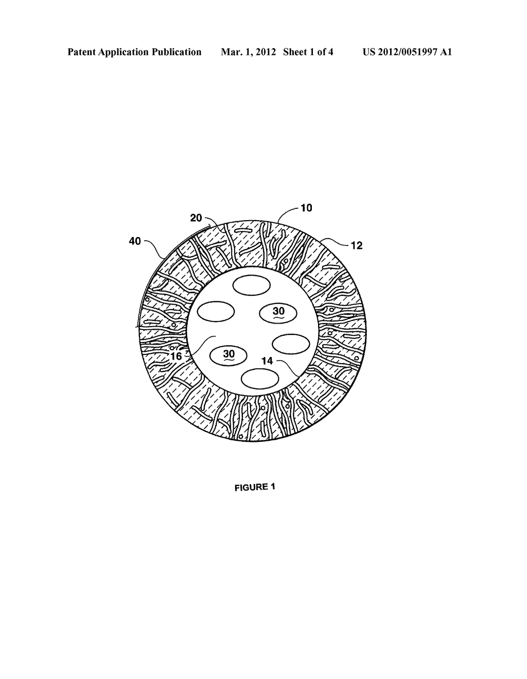 Porous wall hollow glass microspheres as a medium or substrate for storage     and formation of novel materials - diagram, schematic, and image 02