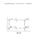 SMMR (SMALL MOLECULE METABOLITE REPORTERS) FOR USE AS IN VIVO GLUCOSE     BIOSENSORS diagram and image