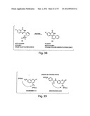 SMMR (SMALL MOLECULE METABOLITE REPORTERS) FOR USE AS IN VIVO GLUCOSE     BIOSENSORS diagram and image