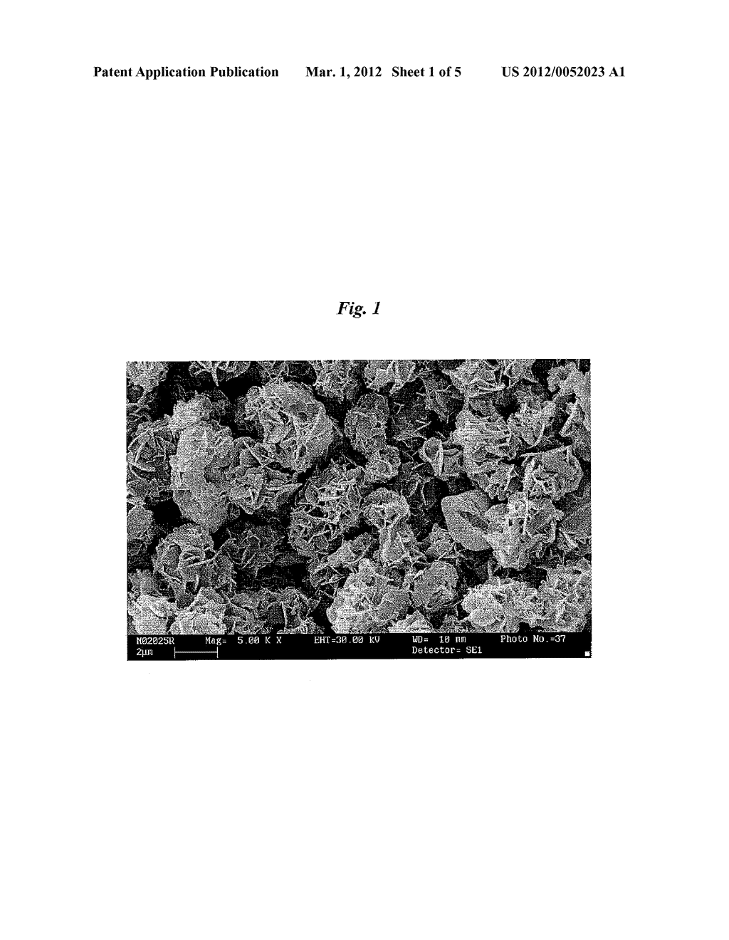 CONTROLLED RELEASE ACTIVE AGENT CARRIER - diagram, schematic, and image 02