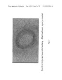 POLYMER COMPOSITIONS AND METHODS FOR THEIR USE diagram and image