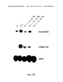 POLYMER COMPOSITIONS AND METHODS FOR THEIR USE diagram and image