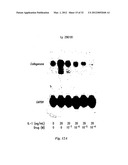 POLYMER COMPOSITIONS AND METHODS FOR THEIR USE diagram and image