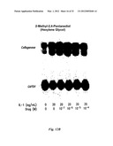 POLYMER COMPOSITIONS AND METHODS FOR THEIR USE diagram and image