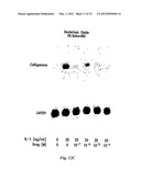 POLYMER COMPOSITIONS AND METHODS FOR THEIR USE diagram and image