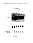 POLYMER COMPOSITIONS AND METHODS FOR THEIR USE diagram and image