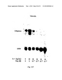 POLYMER COMPOSITIONS AND METHODS FOR THEIR USE diagram and image