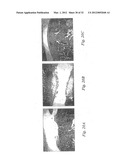 POLYMER COMPOSITIONS AND METHODS FOR THEIR USE diagram and image