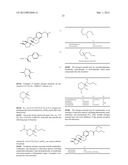 POLYMER COMPOSITIONS AND METHODS FOR THEIR USE diagram and image