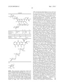 POLYMER COMPOSITIONS AND METHODS FOR THEIR USE diagram and image