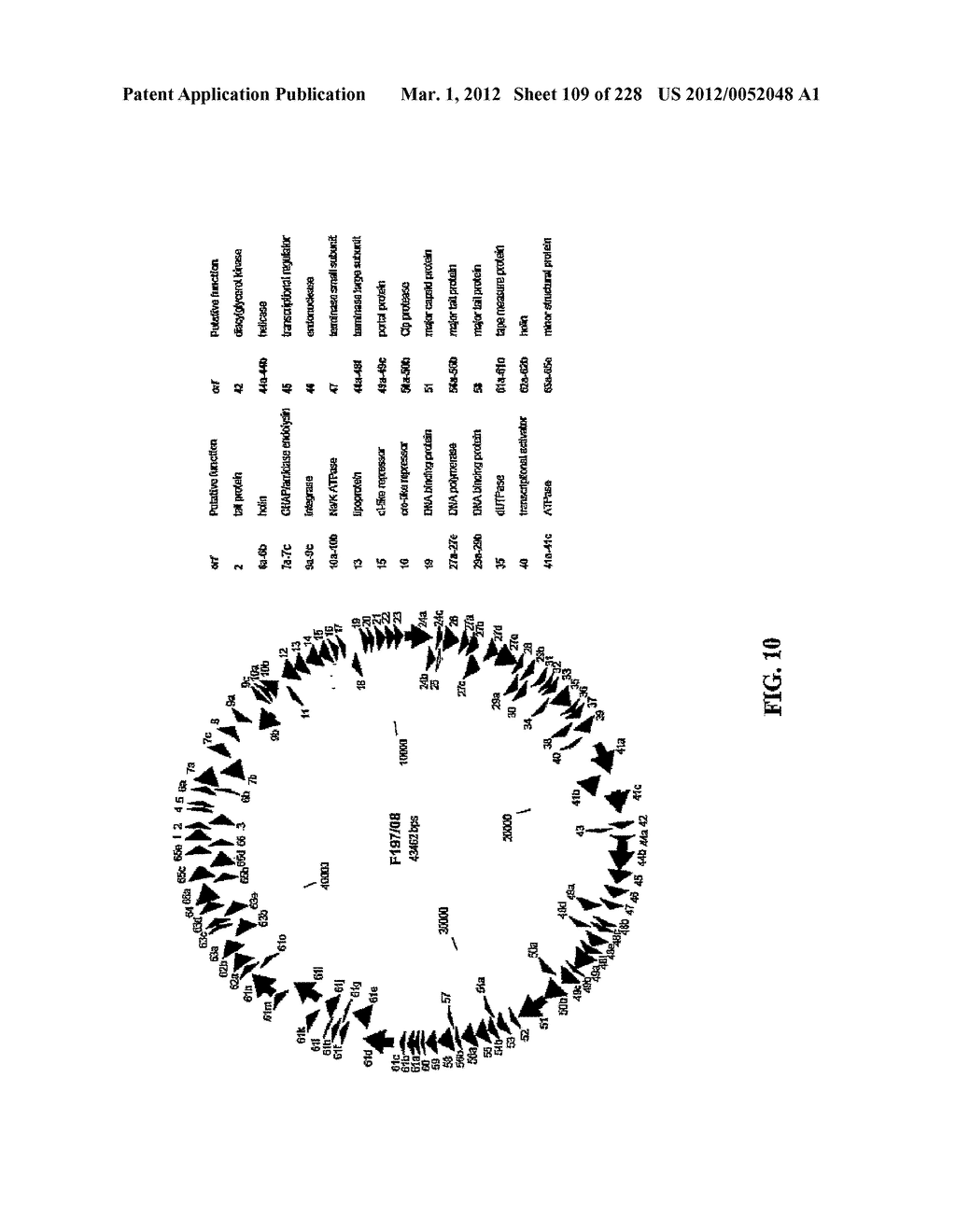 ANTIBACTERIAL PHAGE, PHAGE PEPTIDES AND METHODS OF USE THEREOF - diagram, schematic, and image 110