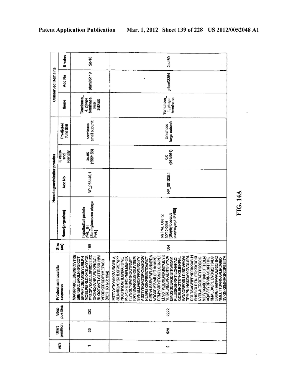 ANTIBACTERIAL PHAGE, PHAGE PEPTIDES AND METHODS OF USE THEREOF - diagram, schematic, and image 140