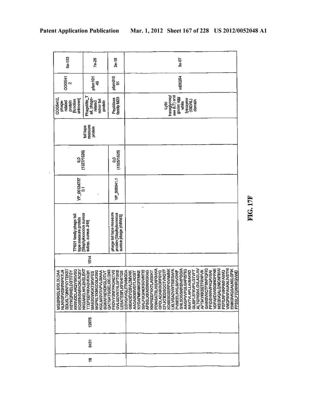 ANTIBACTERIAL PHAGE, PHAGE PEPTIDES AND METHODS OF USE THEREOF - diagram, schematic, and image 168