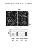 CONTROL OF BIOFILM FORMATION diagram and image