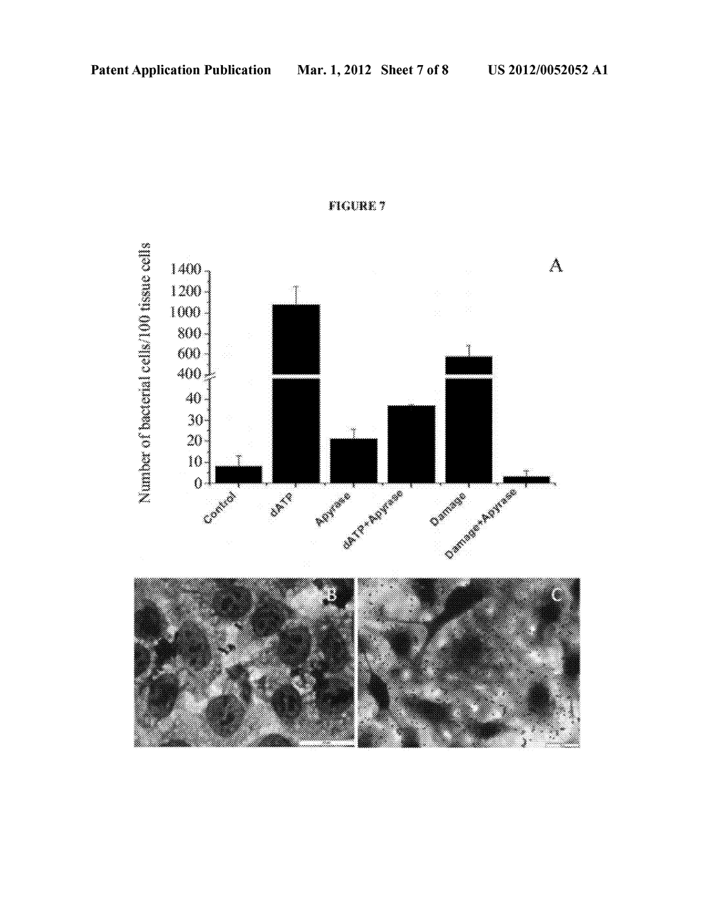 CONTROL OF BIOFILM FORMATION - diagram, schematic, and image 08